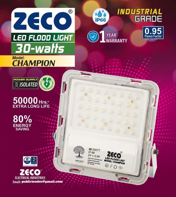 LED Flood Light 30 WATT